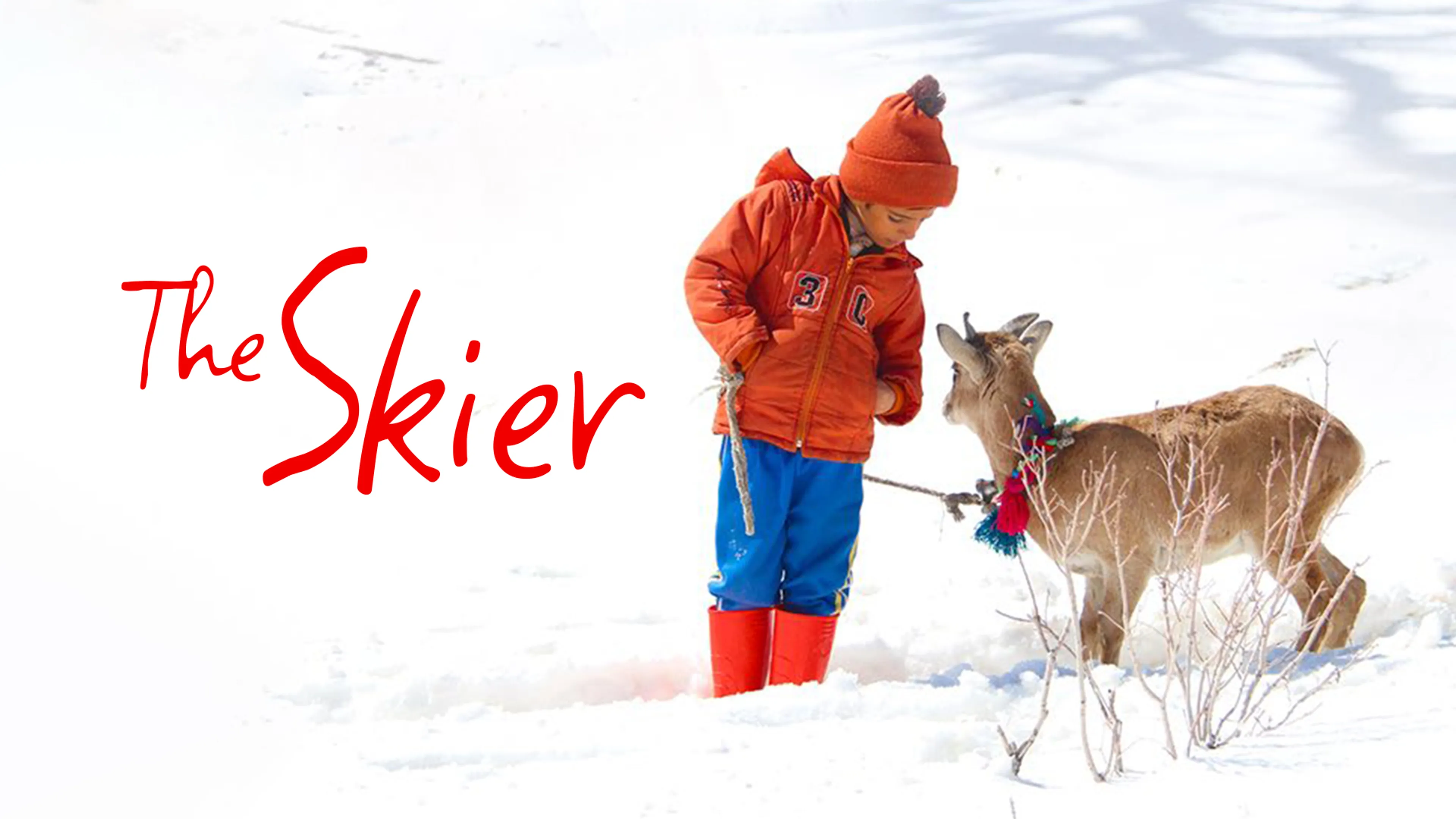 The Skier poster